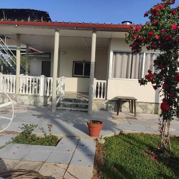 Villa Artzie. Έξοχικο με τεράστιο εξωτερικό χώρο., hotel in Nea Kallikrateia