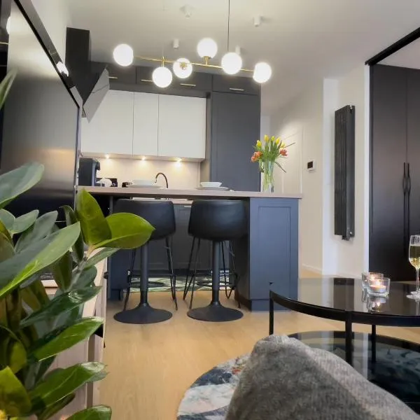 URBAN APARTMENTS PREMIUM, Opolska 10 No 36, Free Garage, Self Check-in, מלון בקאטוביץ