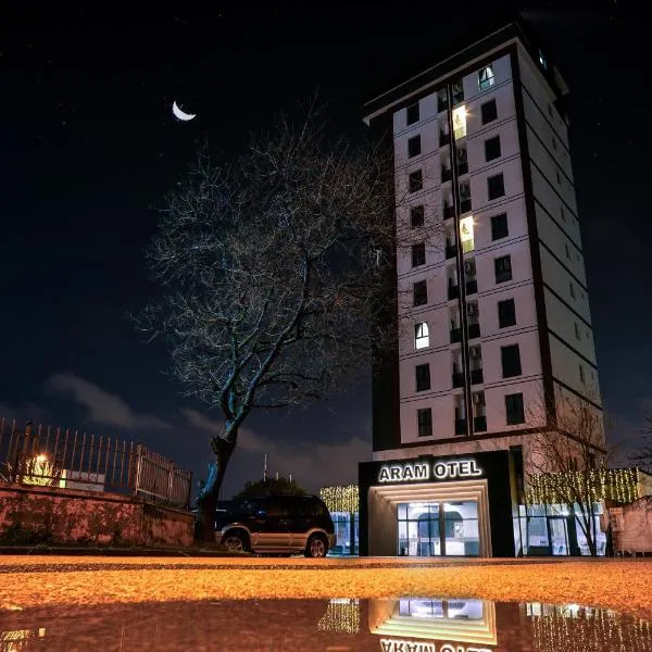 Aram Otel Business & Luxury, hotel in Istanbul