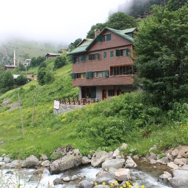 Dagevi Butik Apart, hotel in Meşe
