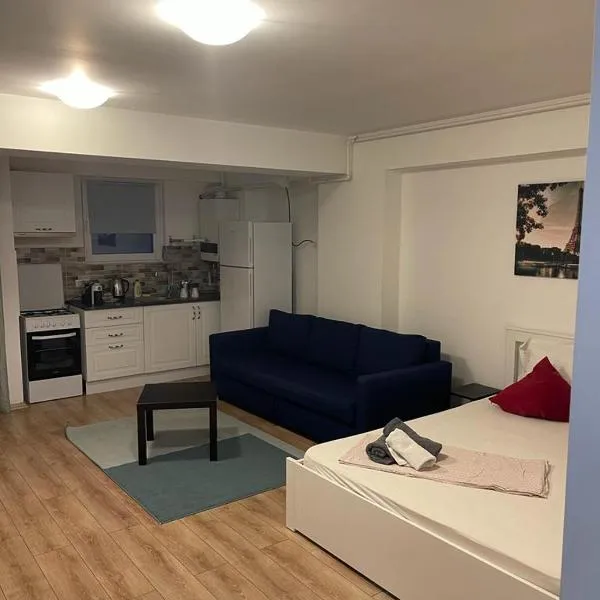 Tranzzit Airport Apartament I, hotel v destinaci Otopeni