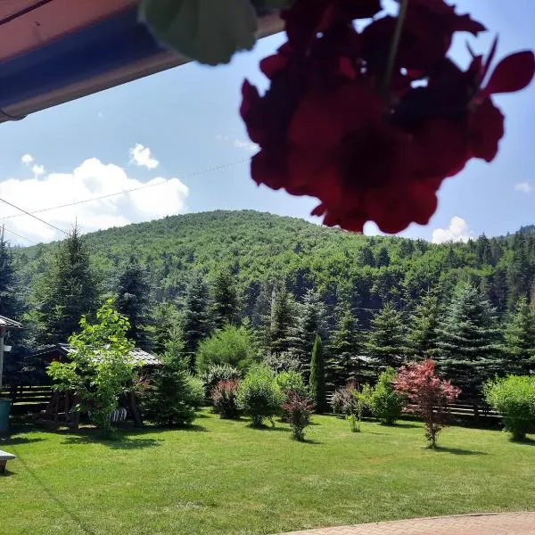 Pensiunea Putnisoara, hotel u gradu Putna