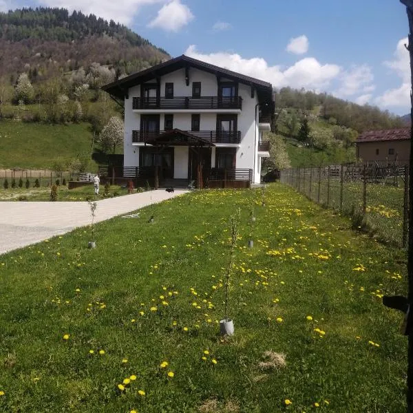 Pensiunea ACASA LA VLADUȚ, hotel en Borşa