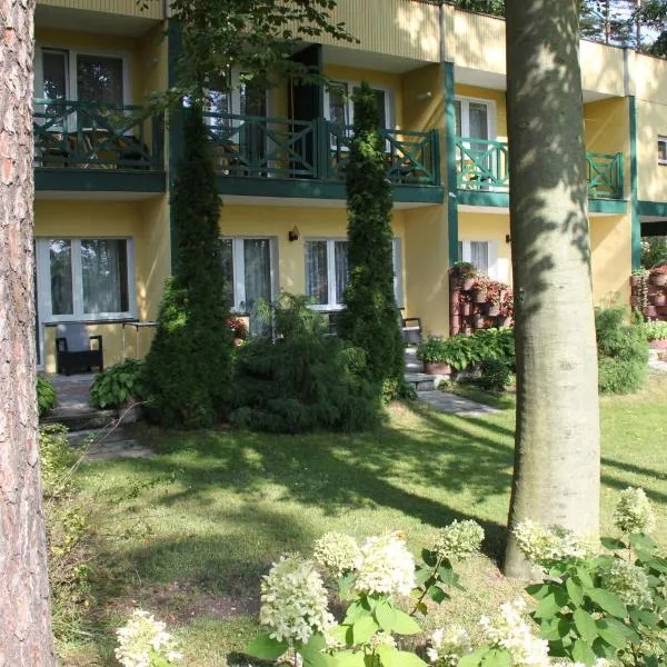 Hotel Zielony & OW Borowik & Pensjonat Manhattan - Centrum Rekreacji i Wypoczynku GASTROTUR, ξενοδοχείο σε Turawa