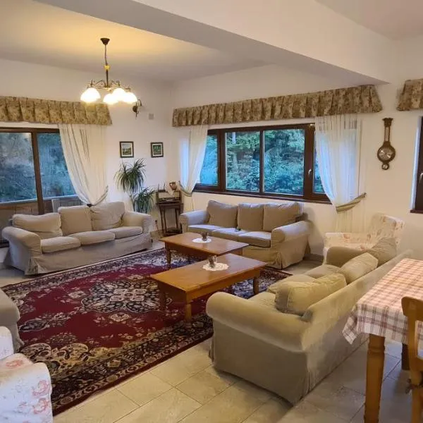 아리에세니에 위치한 호텔 Arnica Montana