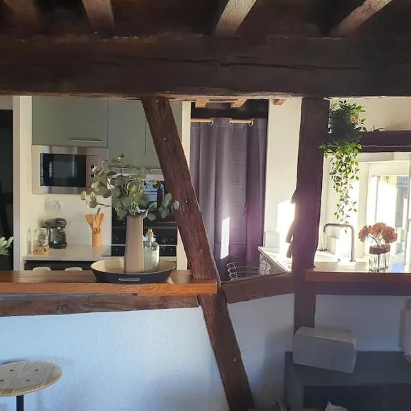 Appartement cosy dans le centre historique, hotel a Châtillon-sur-Chalaronne