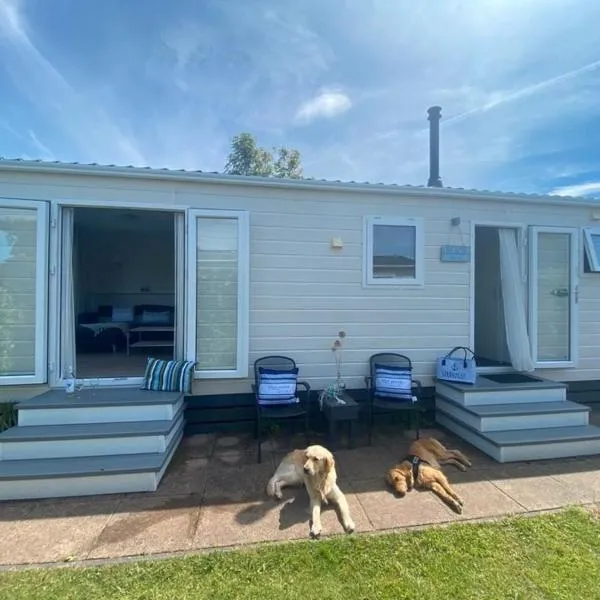 N 9Strandnahes, hunde-familienfreundliches Ferienhaus, hotelli kohteessa Callantsoog