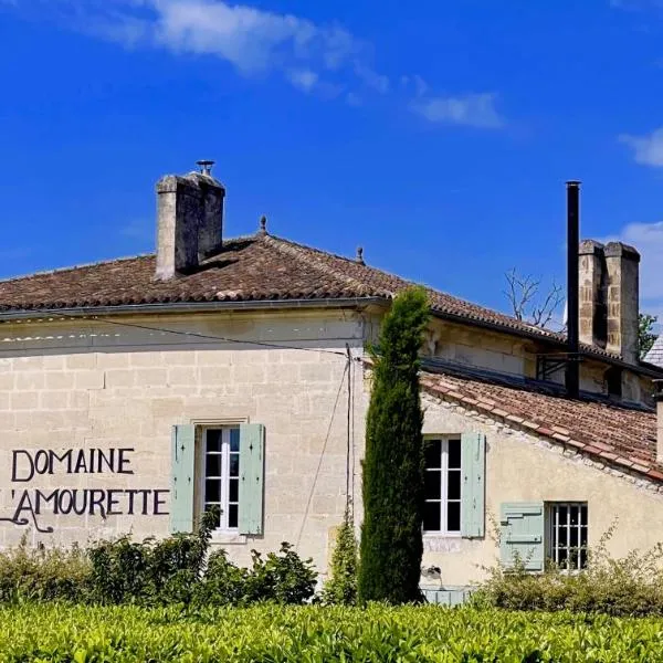 Domaine L'Amourette, хотел в Tizac-de-Curton