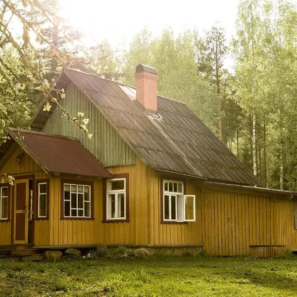 Nedsaja metsamaja ja saun, hotel in Värska