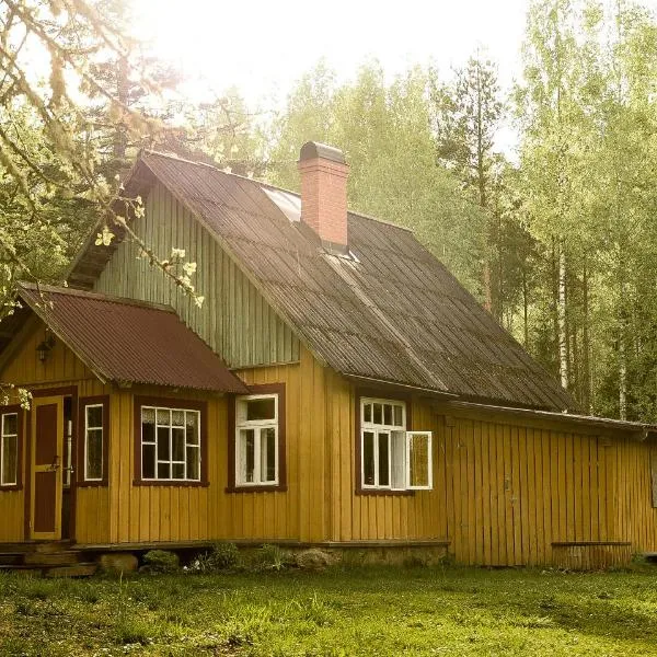 Nedsaja metsamaja ja saun, hotel in Perdaku