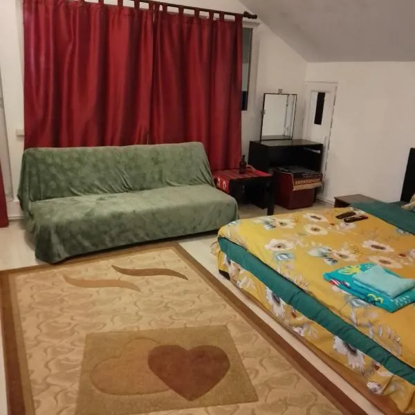 CASA MEA-Casa Mocanu: Giurgiu şehrinde bir otel