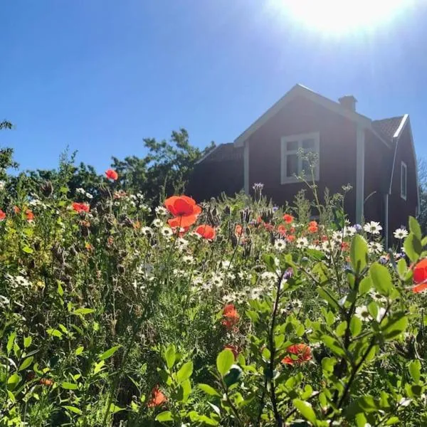 Ferienhaus in Borghamn, Vättern, hotel v destinaci Borghamn