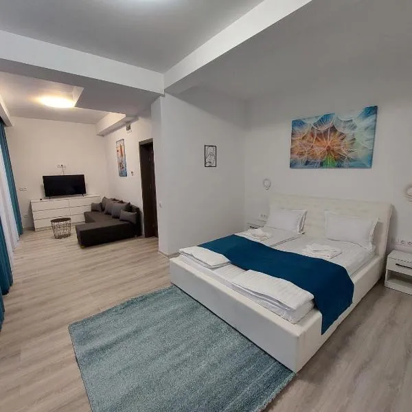 NoMi Ultracentral Apartments, hotel in Târgu-Mureş