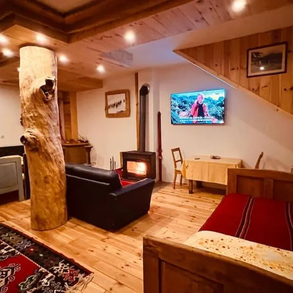 Ethnic Grand Room -Tara Place, hotel a Mojkovac