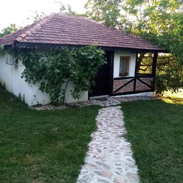 Lodge Morava 2, hotel v destinaci Vrnjačka Banja