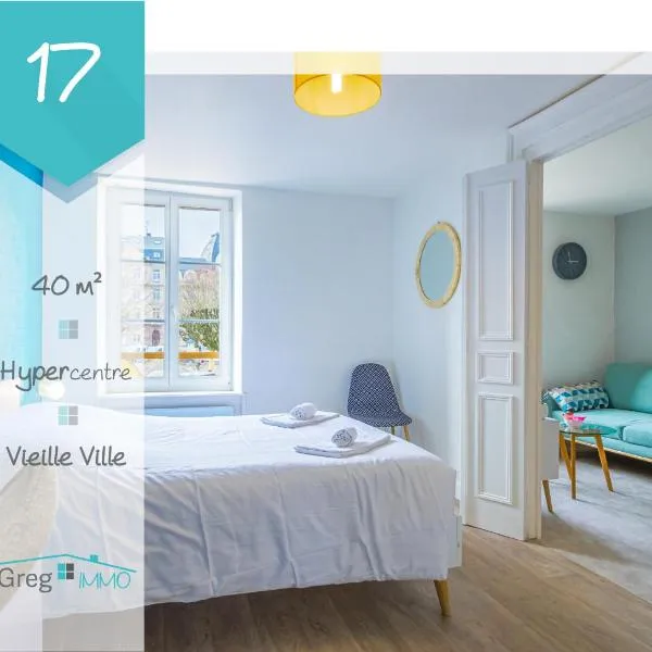Le 17-GregIMMO-Appart'Hôtel, hotel in Belfort