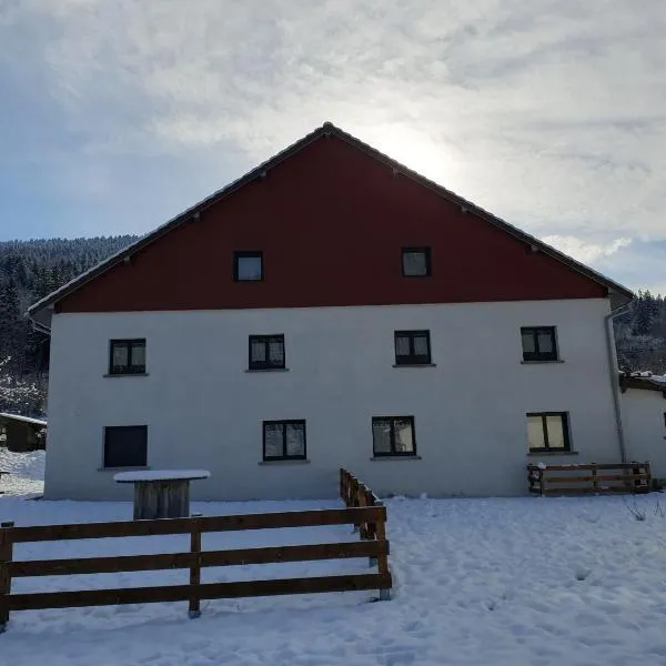 appart Hérisson RDC accessible PMR – hotel w mieście Cornimont
