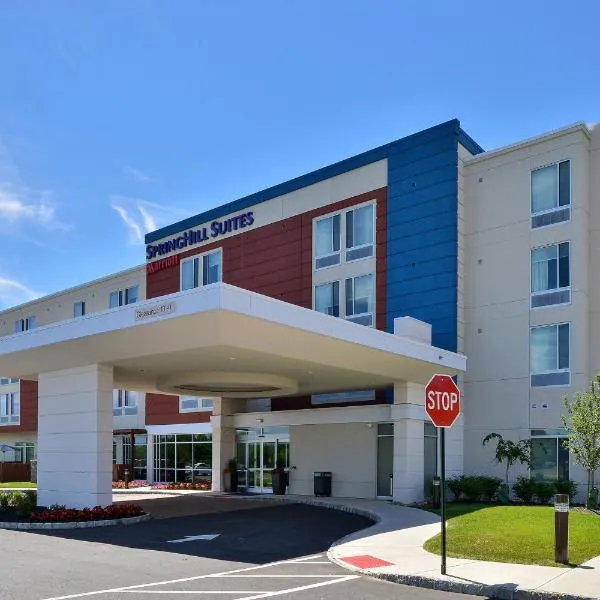SpringHill Suites by Marriott Voorhees Mt. Laurel/Cherry Hill, hotel in Glassboro