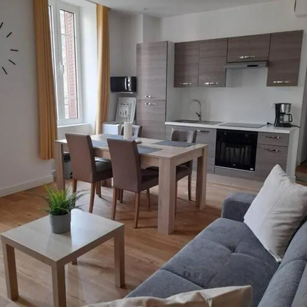 Logement entier - Appartement, hotel in Saint-Nectaire