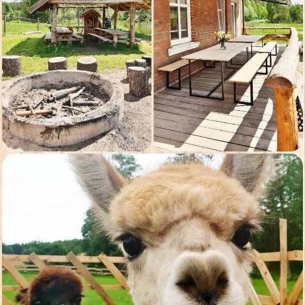 SARNOGRÓD - Agroturystyka z alpakami, hotel v destinaci Babięta