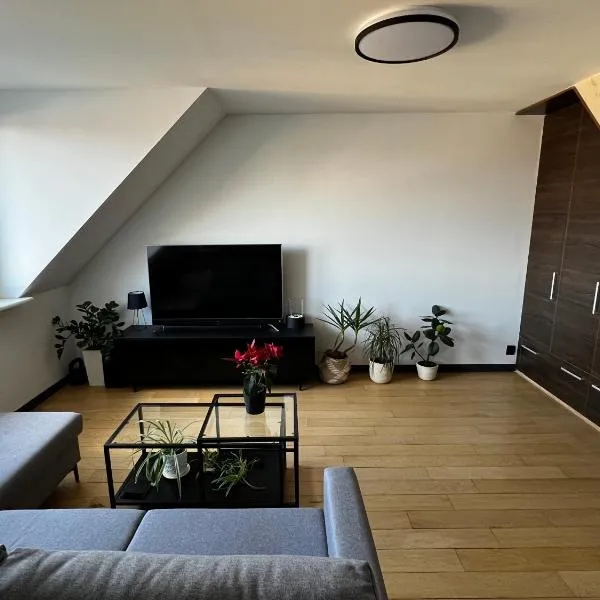 Apartament na Porannej, hotel en Olsztyn