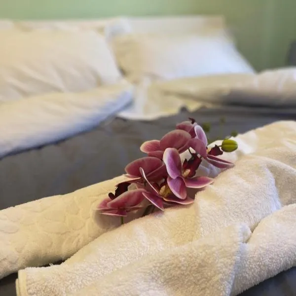 Casa A & M, hotel u gradu Luka