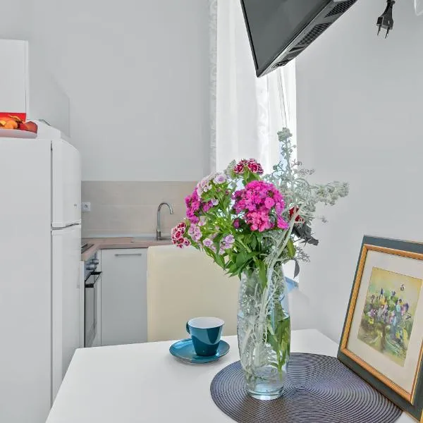 Mima City Center Balcony Studio 5 - Rijeka Rent, khách sạn ở Rijeka