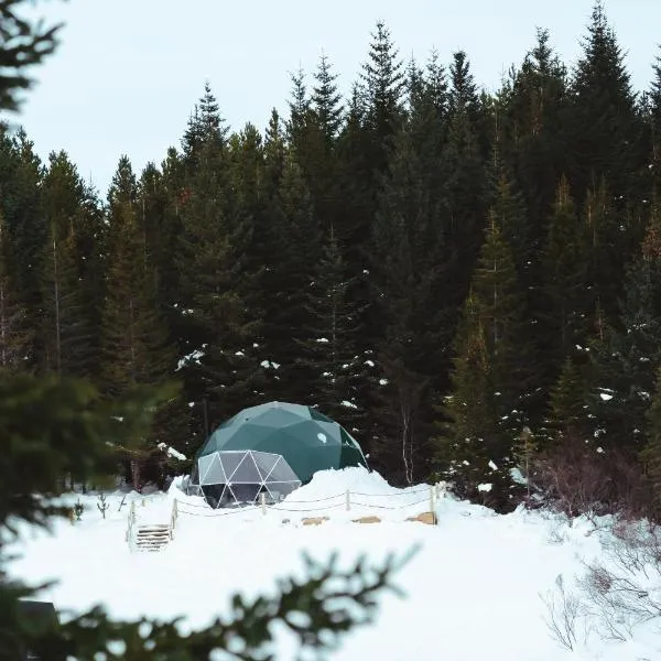 Golden Circle Domes - Glamping Experience, hotel v destinaci Selfoss