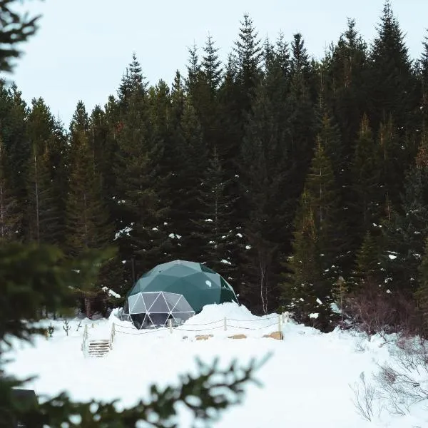 Golden Circle Domes - Glamping Experience, hotel di Búrfell