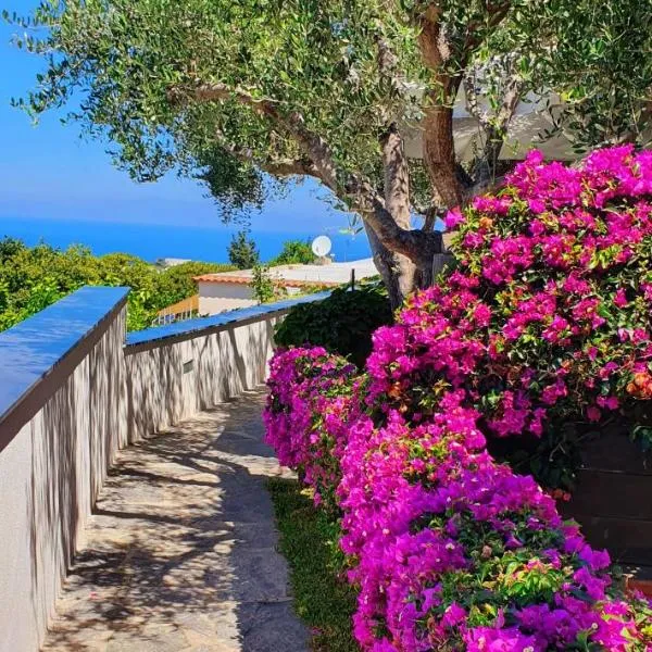 Appartamenti Luongo, hotel in Ischia