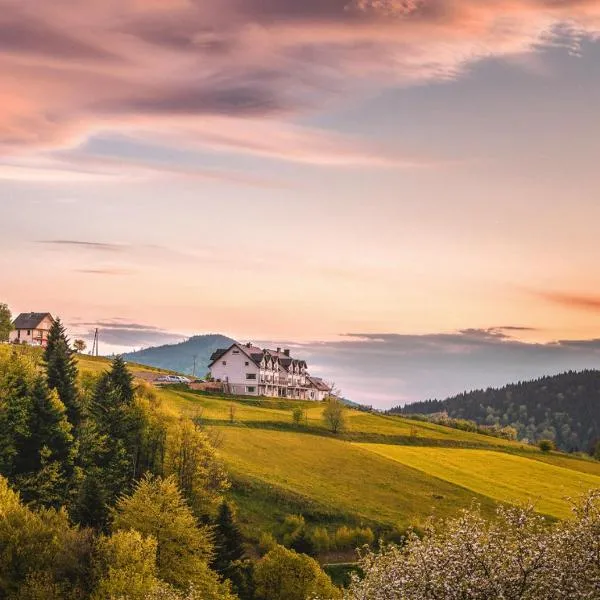 Bliżej Nieba, hotel v destinaci Skrzydlna