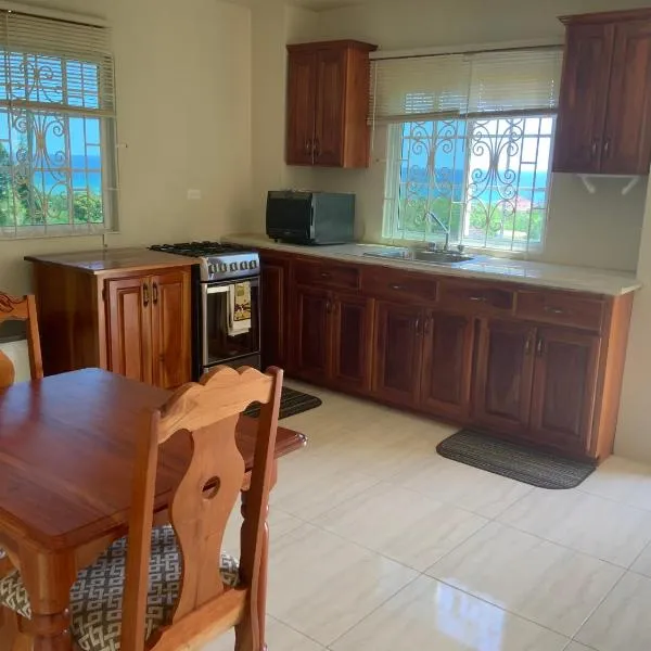 POINCIANA APARTMENT ONE 257 POINCIANA DRIVE GREEN WOOD MONTEGO BAY JAMAICA, hotell Montego Bay's