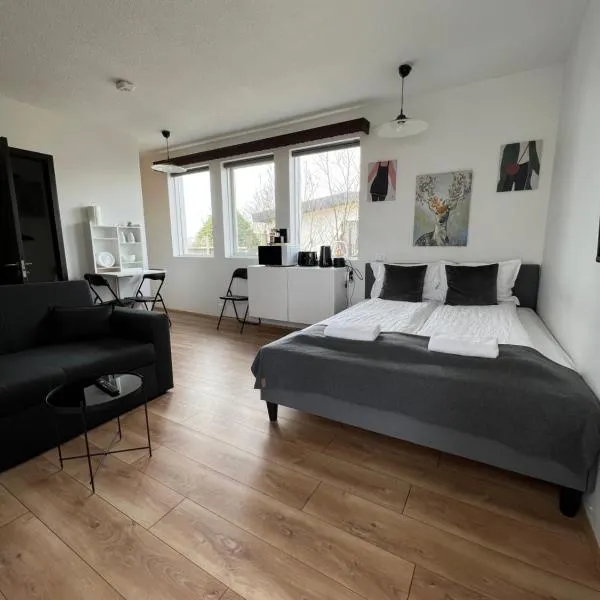 Studio apartment in Hafnarfjordur、ハフナルフィヨルズゥルのホテル