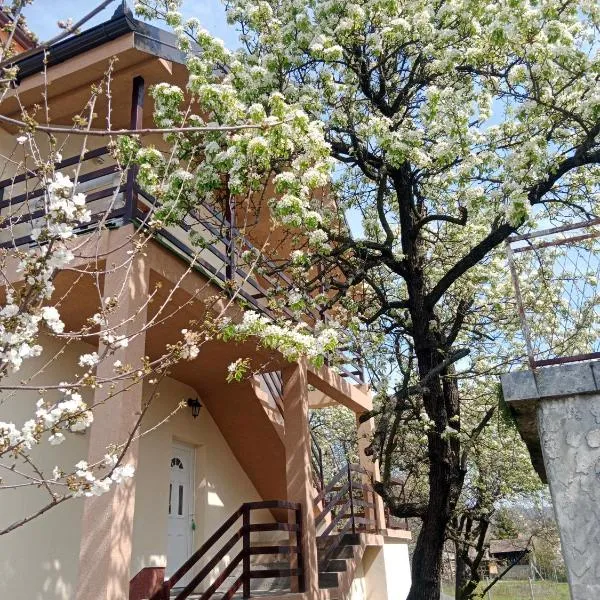 Apartmani Ostojic, hotel i Vrdnik