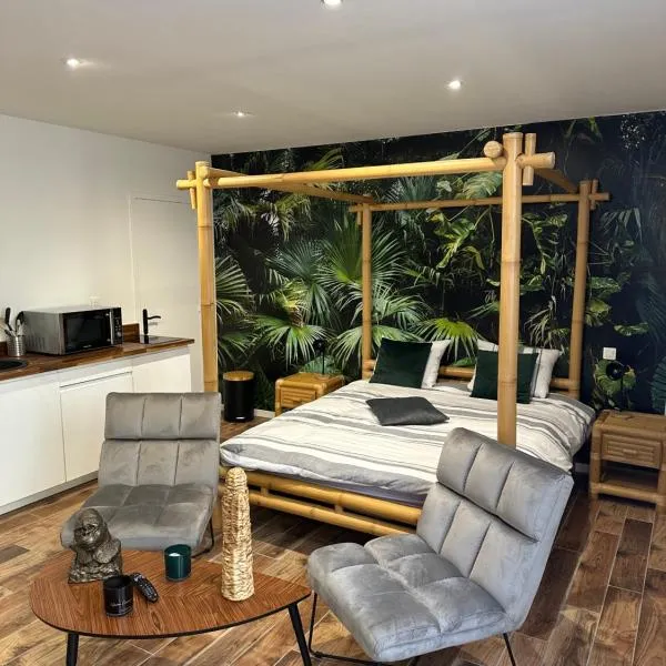 Jungle room, hotel en Sotteville-lès-Rouen
