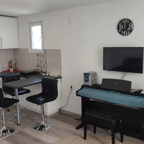 Studio Centar, hotel v destinaci Petrovac na Mlavi