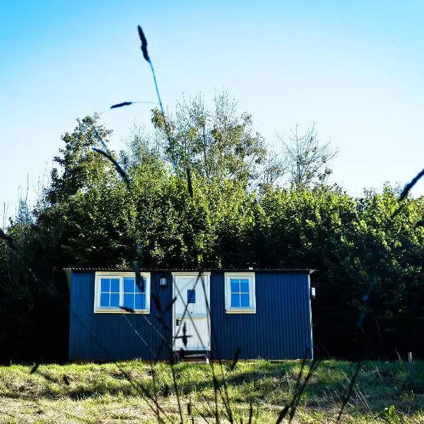 Oak Shepherds Hut, hotel in Wootton Fitzpaine