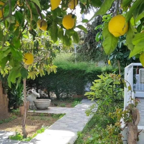 Elpida Lemon Garden House, מלון בארימי