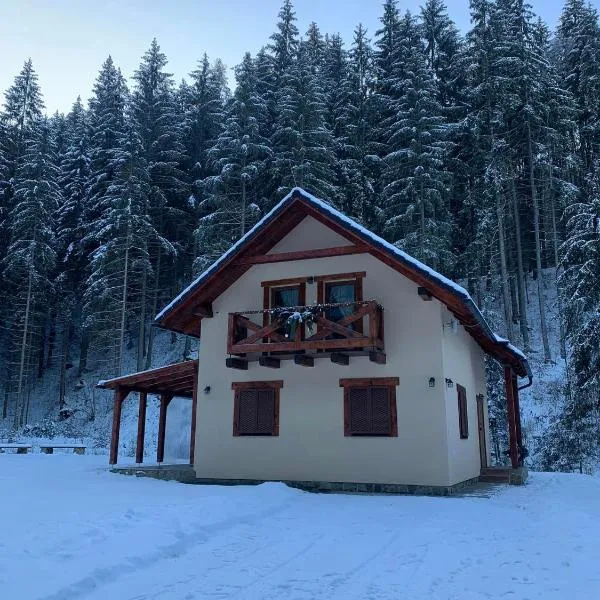 Chata Mošnica, hotel v destinaci Lazisko