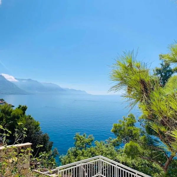 Adriatik Paradise, hotel v Mimiciach