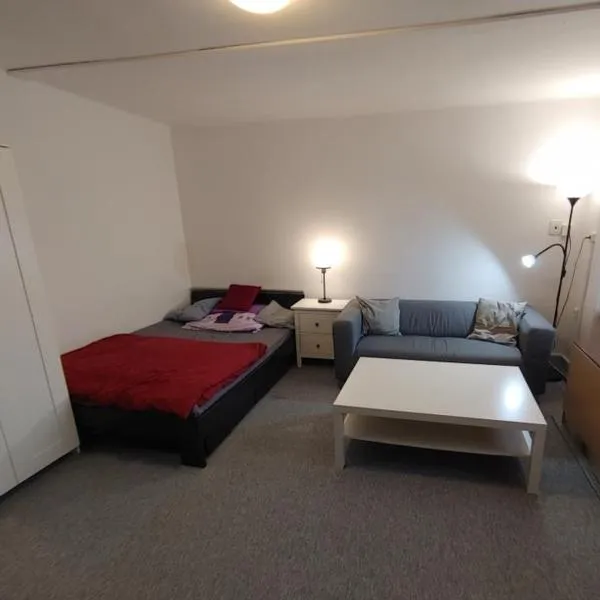 Sušice apartmán 18, hotel v Sušici