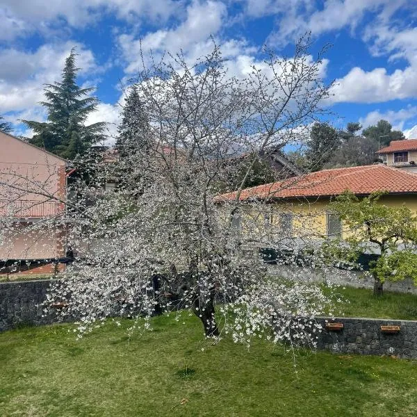 Etna sotto il ciliegio, hotel a Ragalna