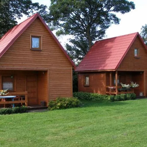 Domki letniskowe Pod brzozą, hotel in Nowęcin