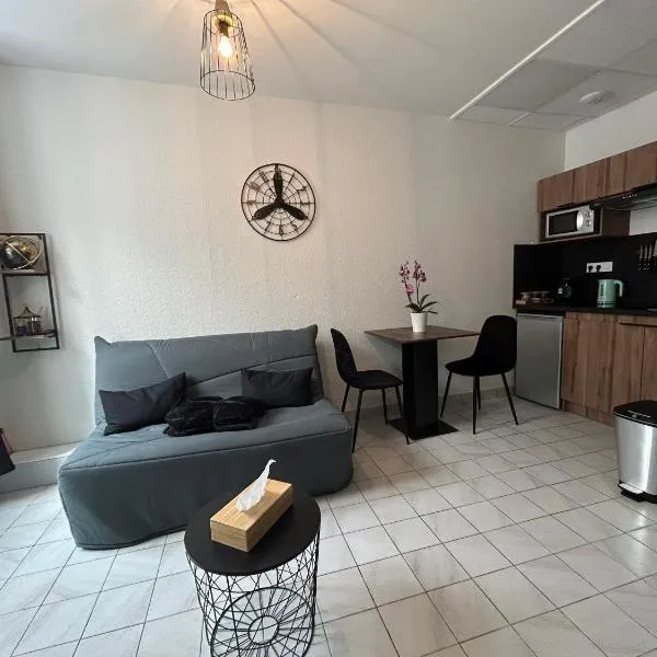 Au 15 - Charmant Studio hyper centre, hotell i Saint-Amand-Mont-Rond