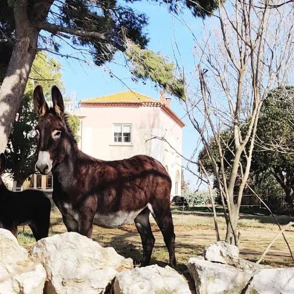 Au cœur de la Nature, khách sạn ở Coursan