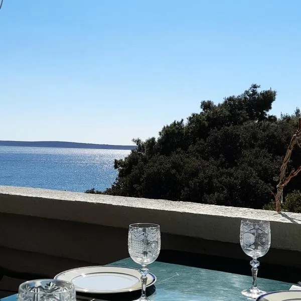 Mandre Jelena Apartman, hotel v destinaci Mandre