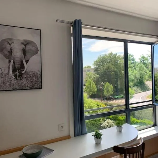 Studio Bourran + parking, hotel in Rodez