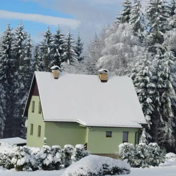 Chata Lipno, hotel in Lipno nad Vltavou