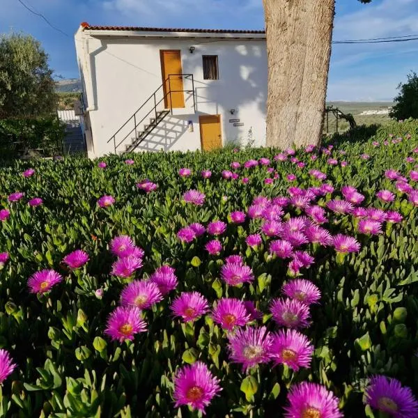 Casita of Casa Olivar, hotel in Huétor-Tájar