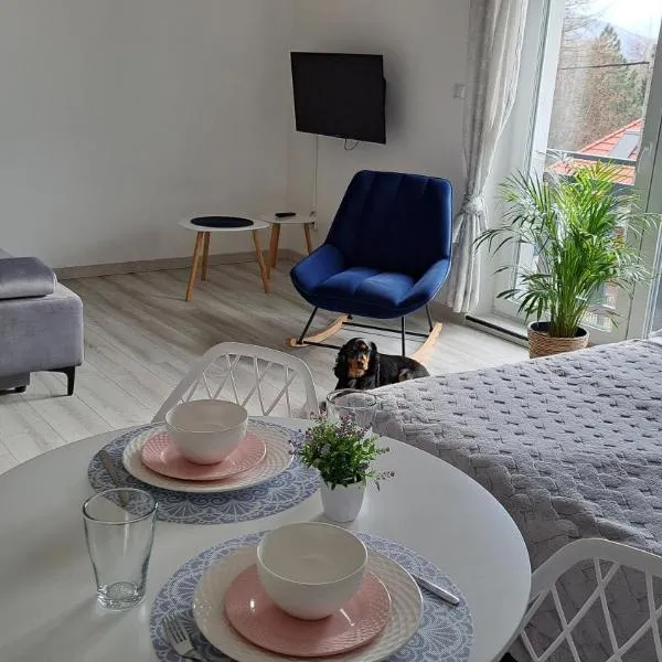 Apartamenty Bujaki Ustroń, hotel in Ustroń